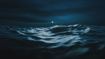 ePropulsion Spirit 2 Video